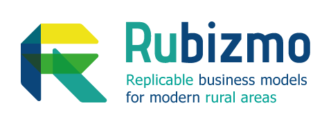 Rubizmo logo